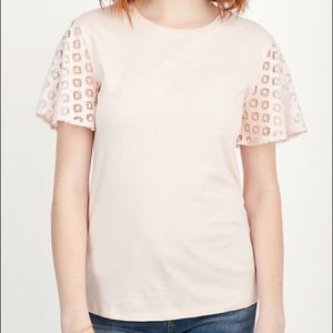 Olive eyelet knit tee blush